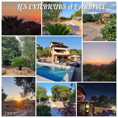 Villa Saba أولبيا المظهر الخارجي الصورة