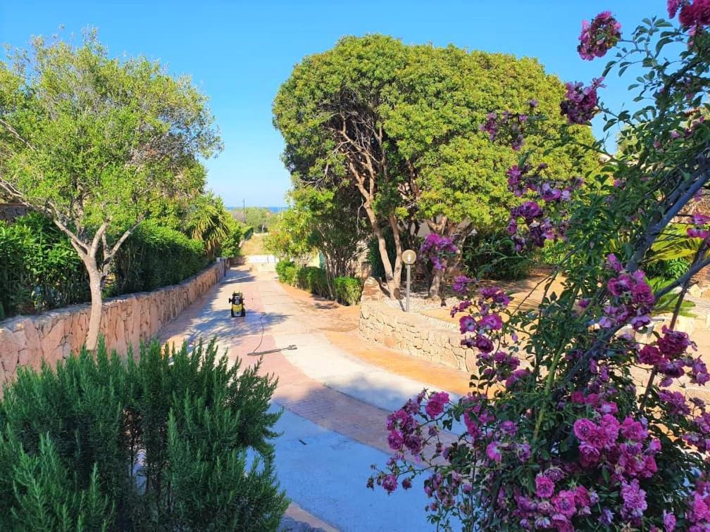 Villa Saba أولبيا المظهر الخارجي الصورة