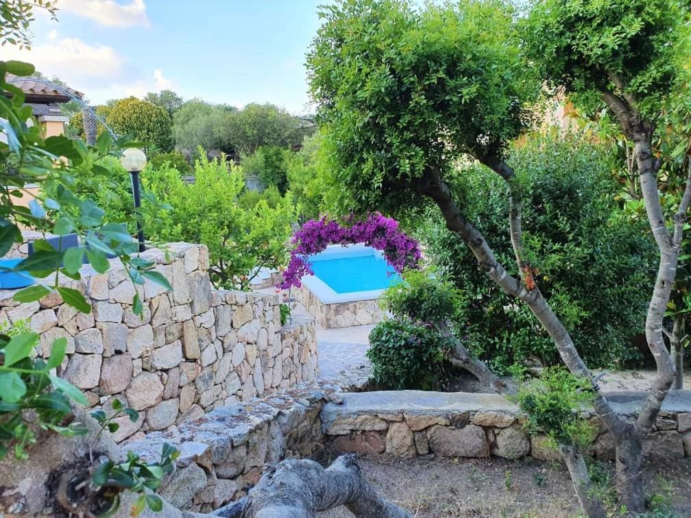 Villa Saba أولبيا المظهر الخارجي الصورة