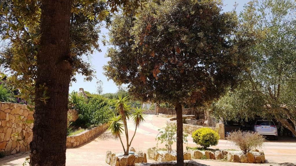 Villa Saba أولبيا المظهر الخارجي الصورة