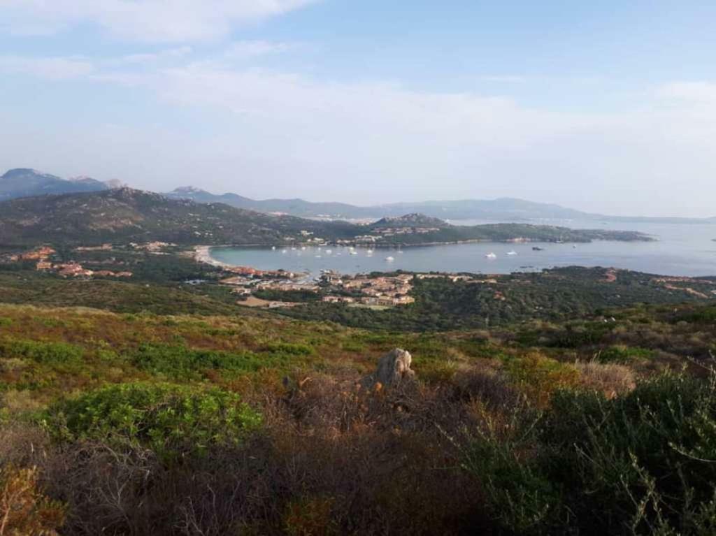 Villa Saba أولبيا المظهر الخارجي الصورة