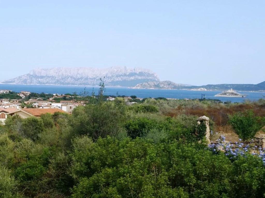 Villa Saba أولبيا المظهر الخارجي الصورة
