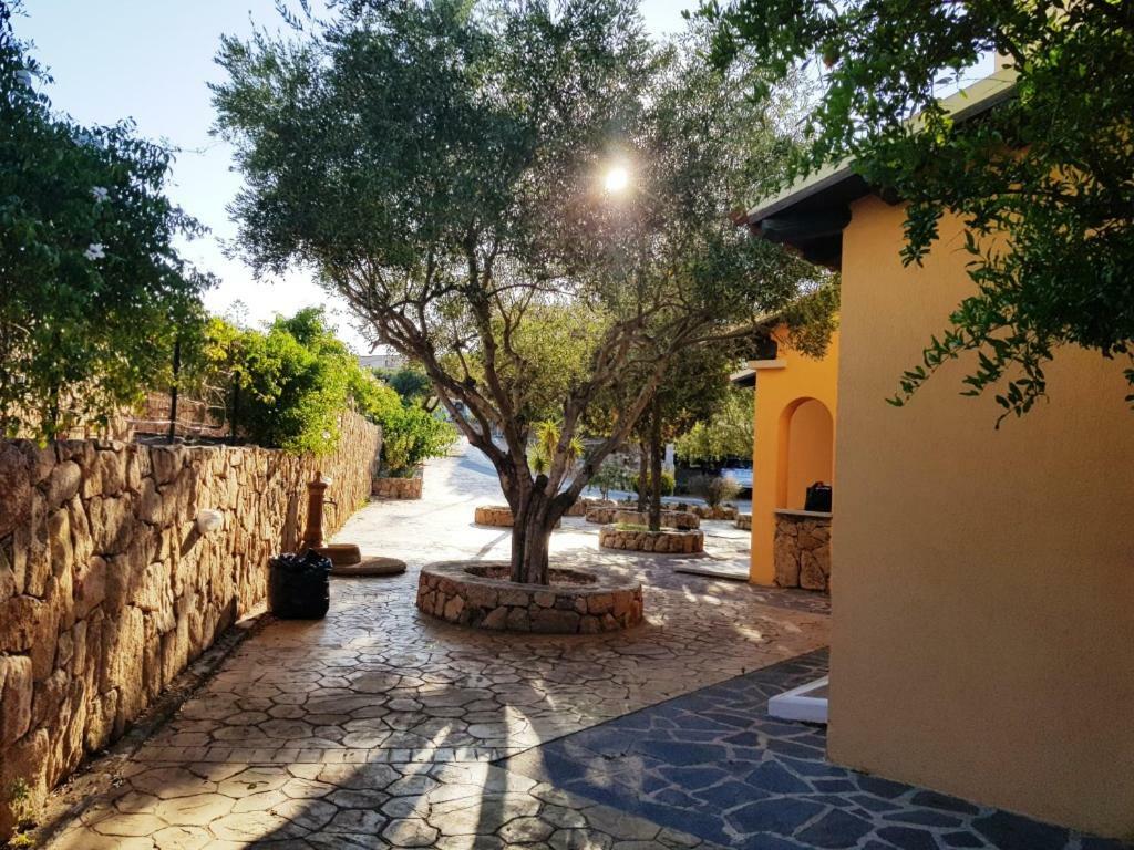 Villa Saba أولبيا المظهر الخارجي الصورة