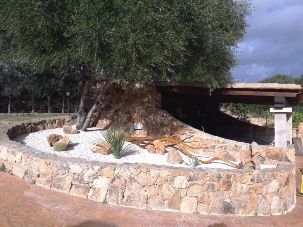 Villa Saba أولبيا المظهر الخارجي الصورة