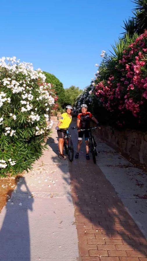 Villa Saba أولبيا المظهر الخارجي الصورة