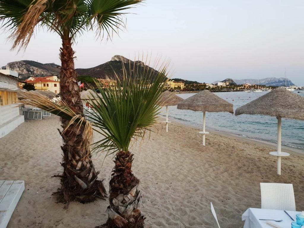 Villa Saba أولبيا المظهر الخارجي الصورة