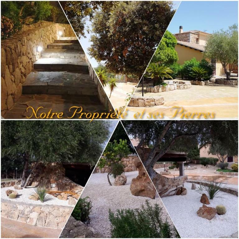 Villa Saba أولبيا المظهر الخارجي الصورة